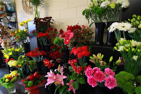 invercargill florist